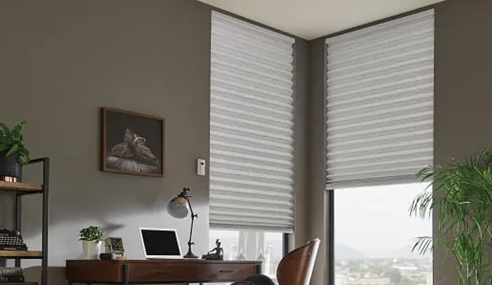 Pleated Shades