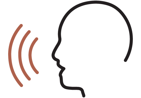 Voice Control Motorization