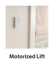 Product Options