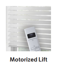Product Options