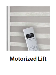 Product Options