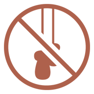 Window Cord Safety